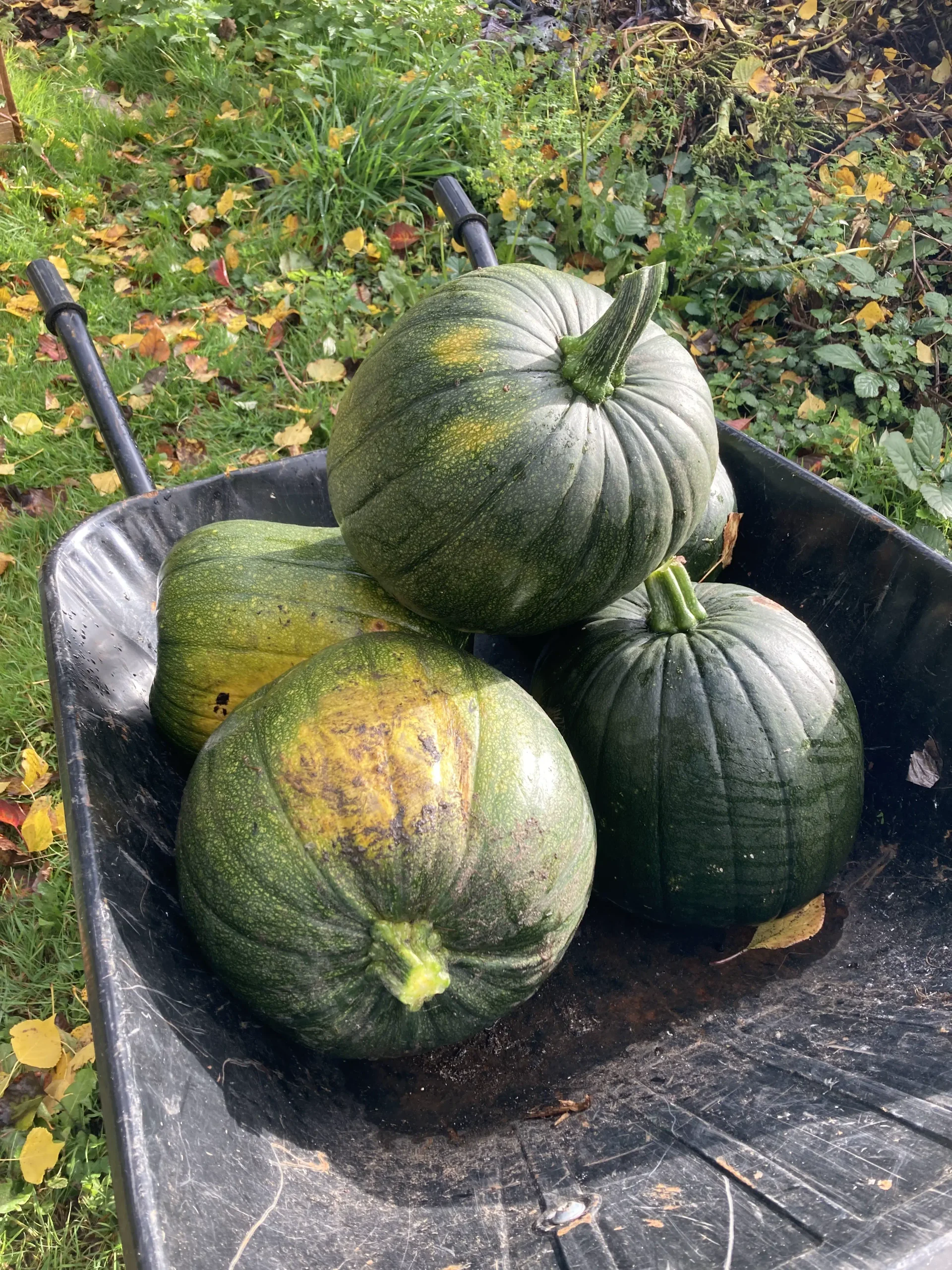 Professional corporate dining setup