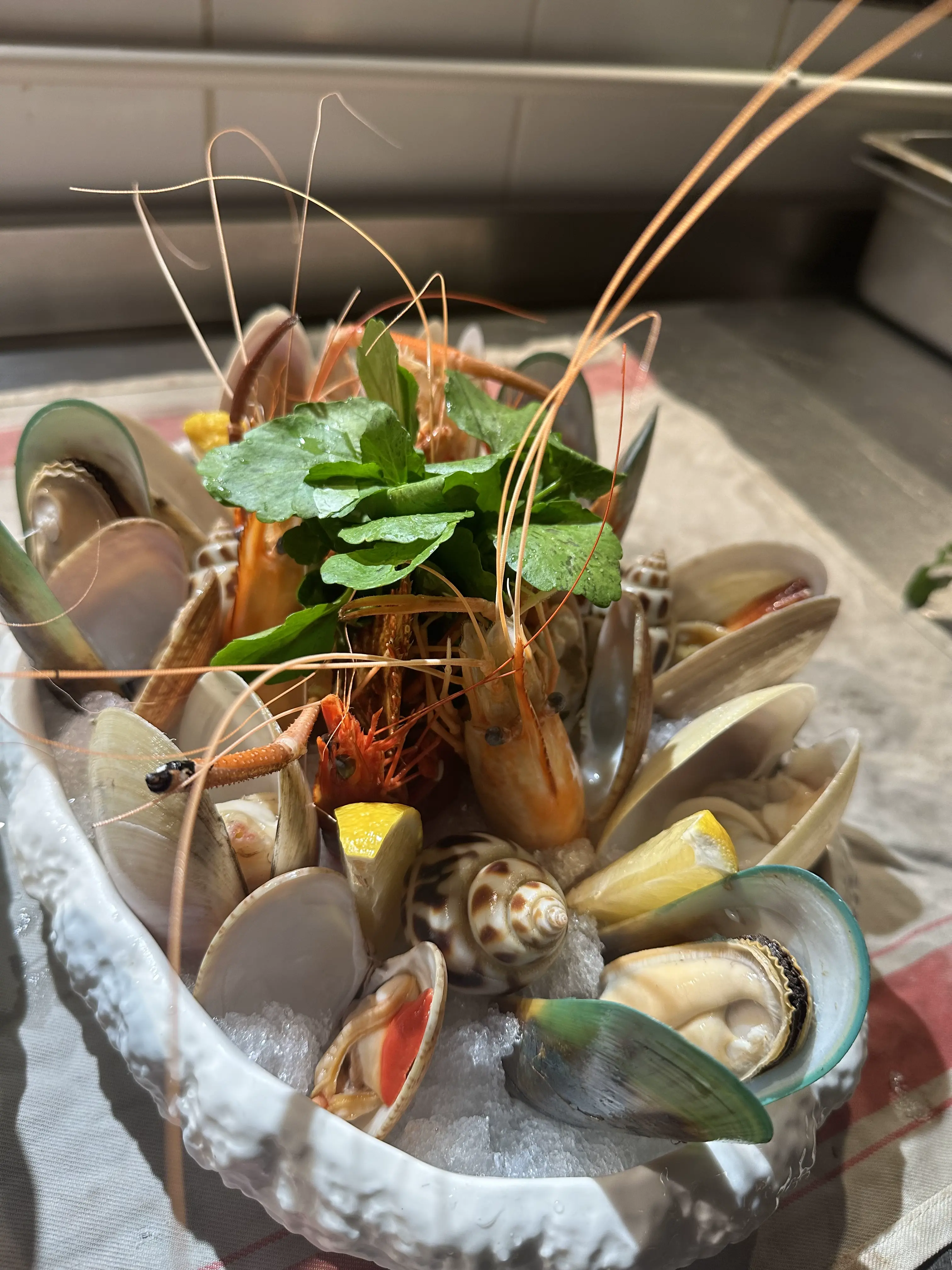 Fresh preparation